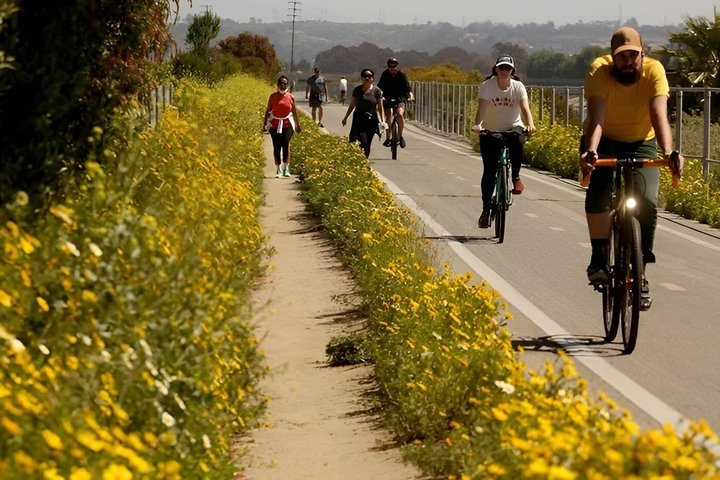 Bike Around San Diego Bay to the Ocean - Photo 1 of 9